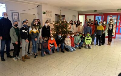 Projekttag der 7b – „Bäume for Future“